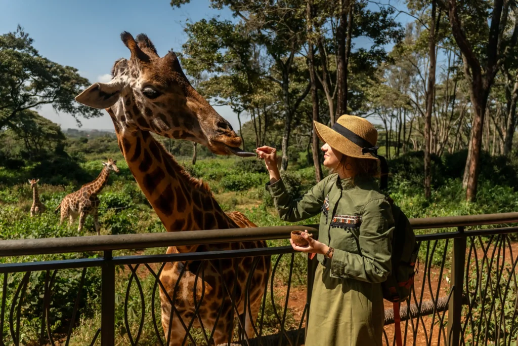 African Sufari Travel yellow fever risk